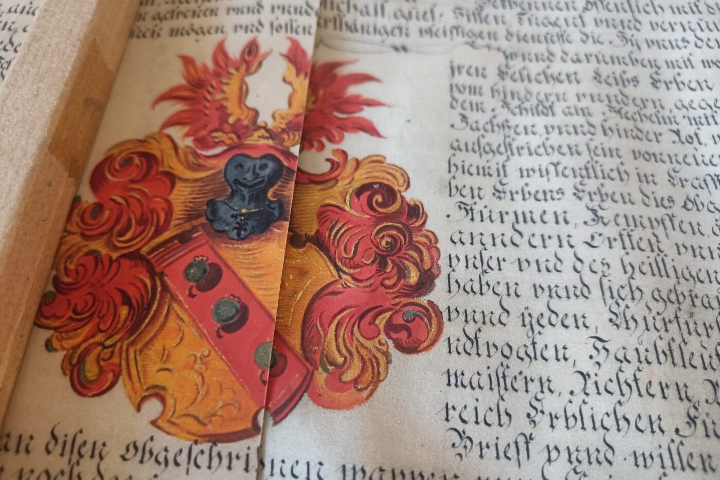 Detailvergleich Adelsurkunde – Original und Fine Art Reproduktion, illuminiertes Wappen, recom art care